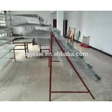 Discount Automatic Layer Quail Cage For Sale With Water System